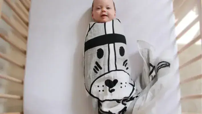 baby swaddled in the swaddle 