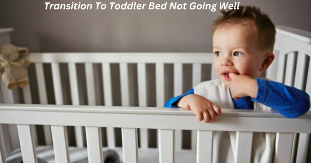 Toddler Transitioning from Bed Not Going Well